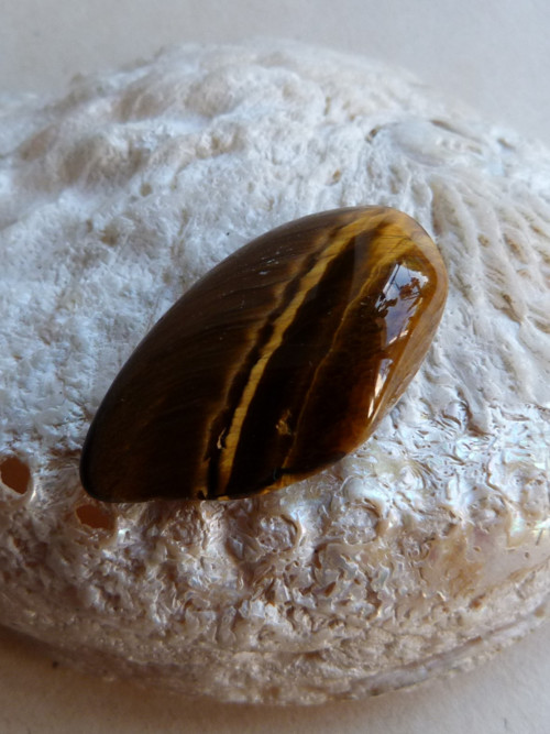 Tygří oko - 4,1 cm - Extra! — foto 1