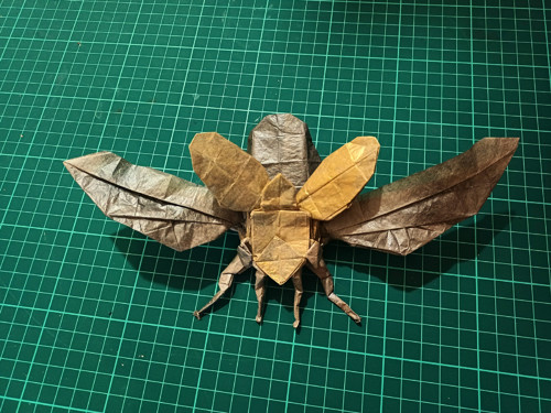 Origami zlatohlávek
