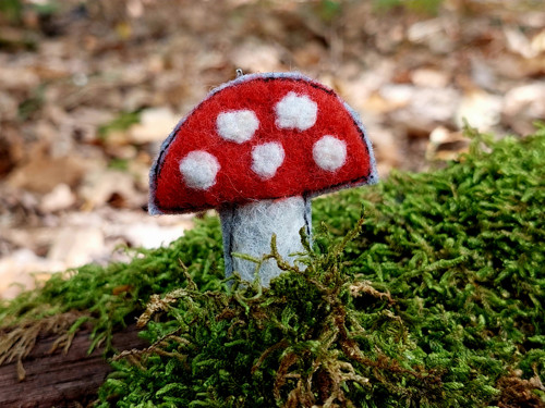 Muchomůrka...