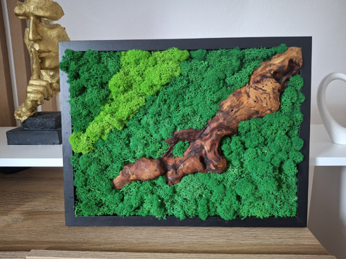 Mechový obraz 30x40 cm