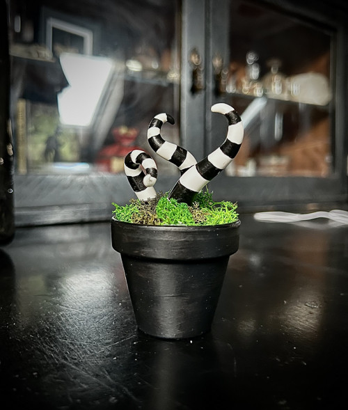 Sendworm květináč