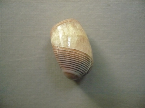 Troml. kámen – sardonyx 27 mm, č.39A