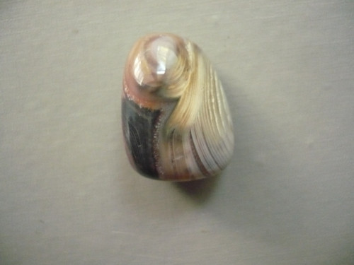 Troml. kámen – sardonyx 29 mm, č.44A