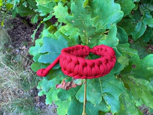 Hitch knot 017