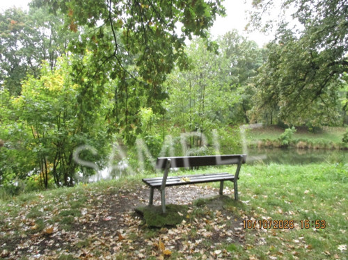 Podzimní melancholie u řeky — lofi plakát (Digitál