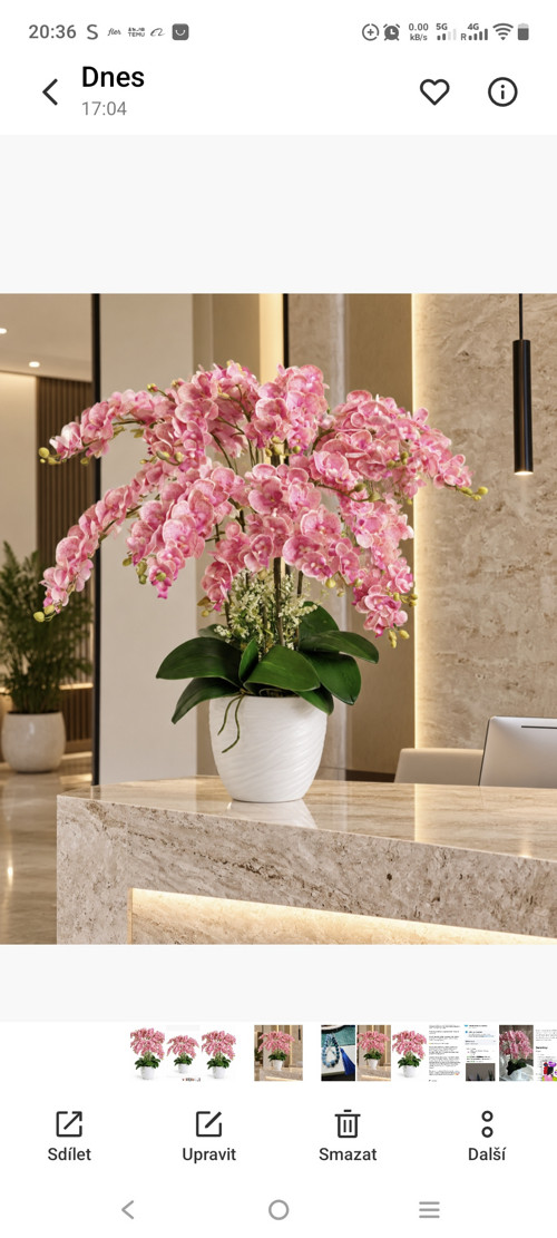 Růžová orchidej do obýváku. Dekorace do bytu