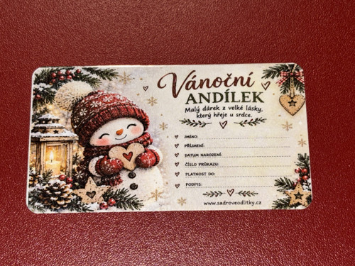 Vánoční andílek (čistý) — foto 1
