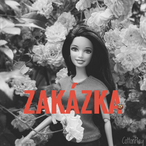 (Zakázka) Sada oblečení pro Barbie - Karol
