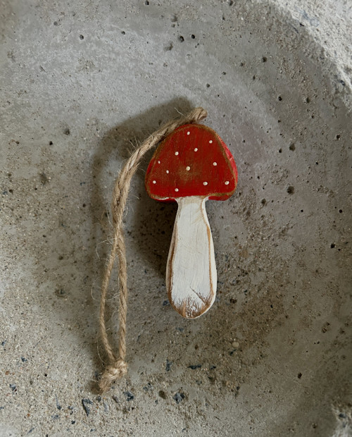 Muchomůrka — foto 1
