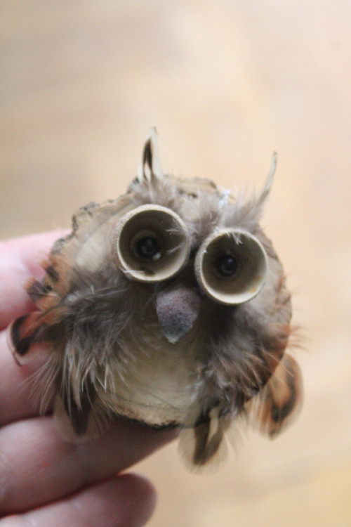 Sovíčka