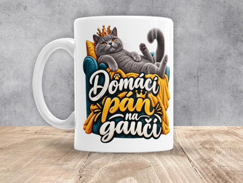 0503 - Domácí pán na gauči