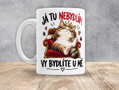 0501 - Já tu nebydlím, vy bydlíte u mě
