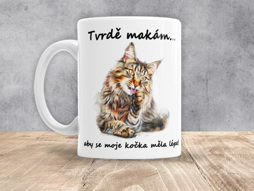 0500 - Tvrdě makám, aby se moje kočka měla lépe