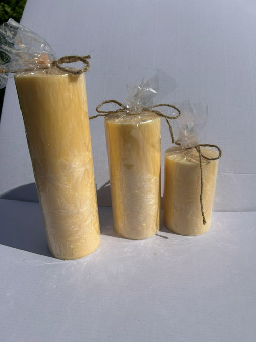 PALMOVÉ /čistka skladu / měsíčková