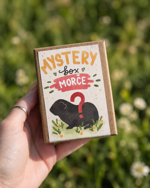 Mystery box Morče | fimo klíčenka s pryskyřicí