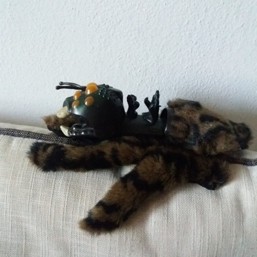 Trancula - pavouk na ruku — foto 1