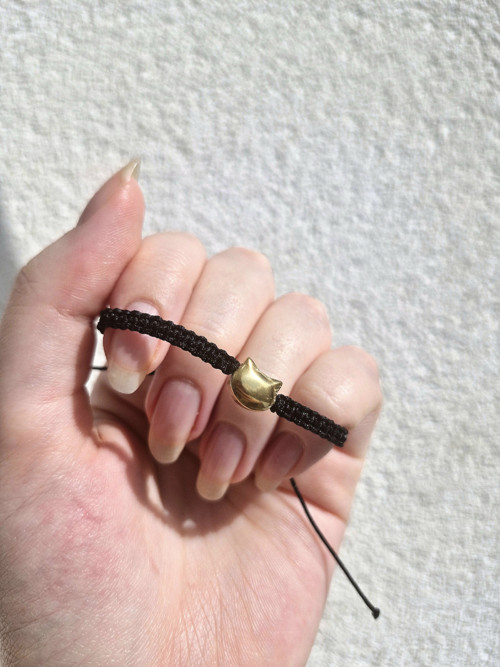 Gold cat — foto 1