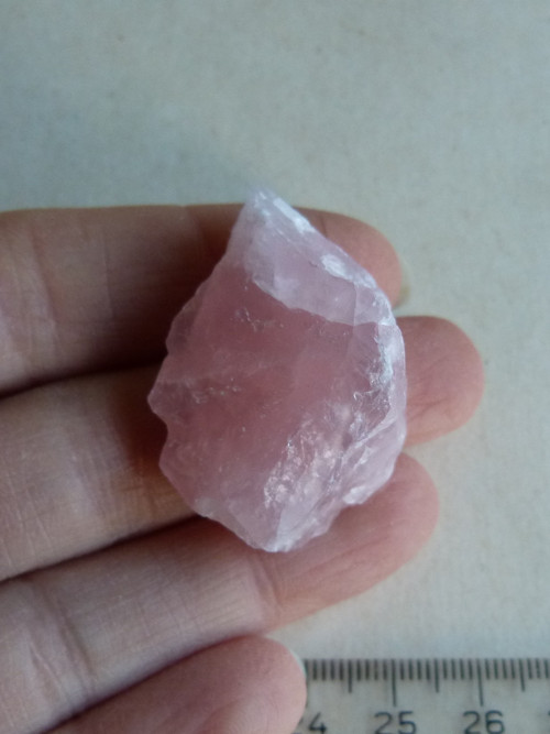 Růženín surový - 3,8 cm