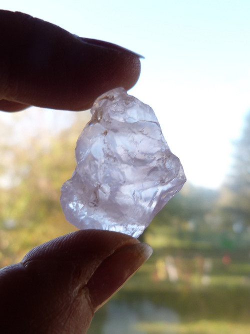 Růženín surový - 3 cm