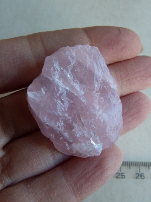 Růženín surový - 4 cm