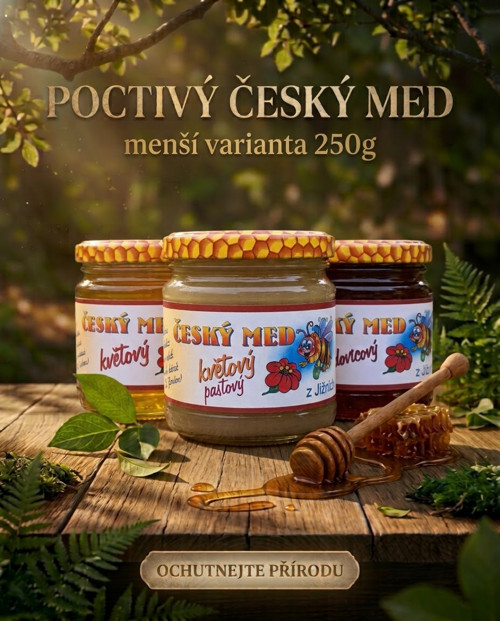 Včelí med různé druhy — foto 1