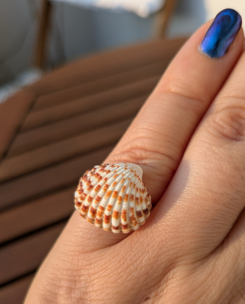 Handmade prsteň - morská mušľa 2