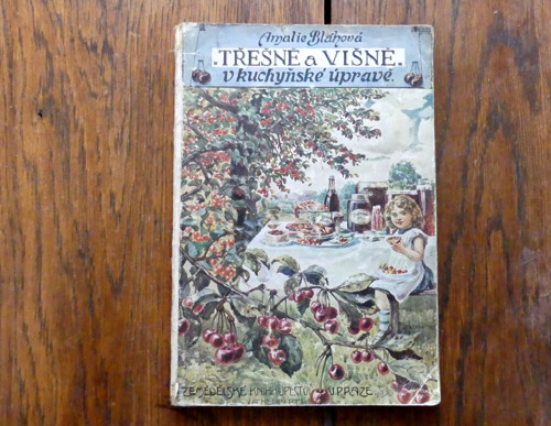 Třešně a višně v kuchyňské úpravě, 1913