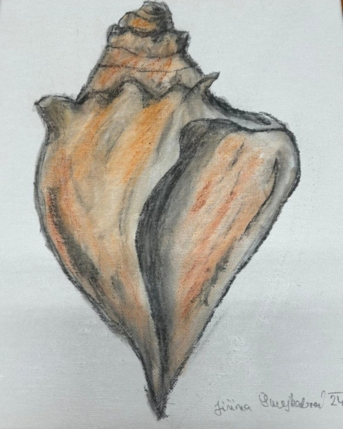 Mořská ulita