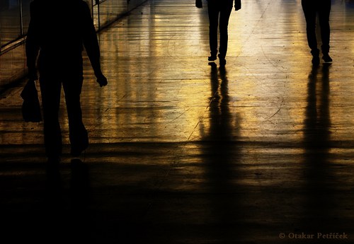 Do práce a z práce — foto 1