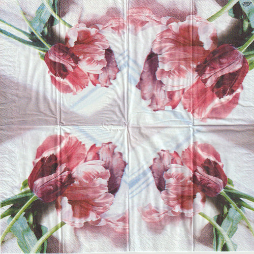 Kapesníček - tulipány (2 ks)