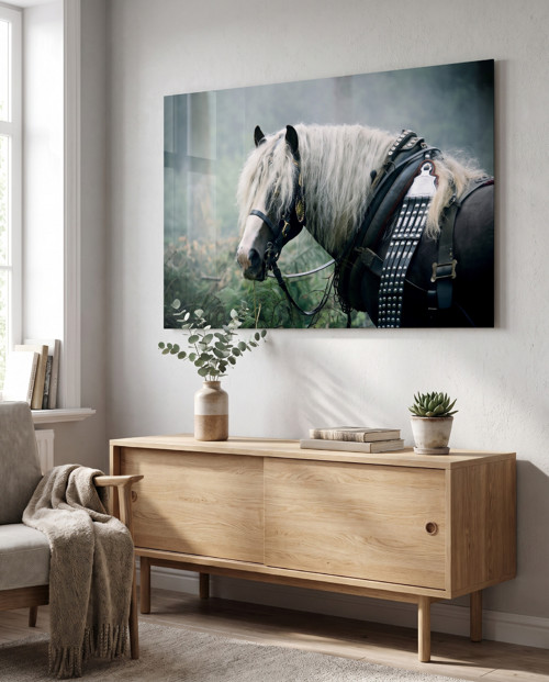 Fotoplachta Hřebec Amazon 110x70 cm
