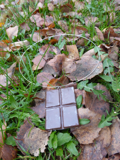 Chocoholic Beauty