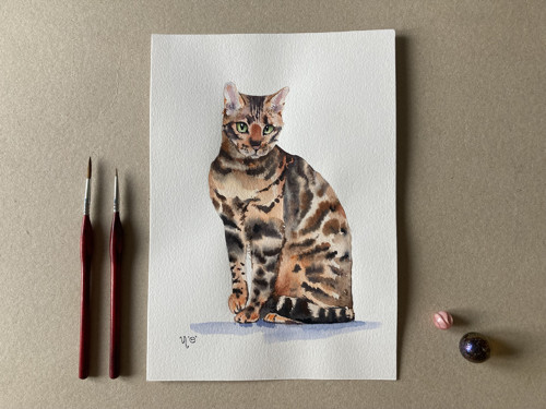 Bengalská kočka. Akvarel A4 210x295mm