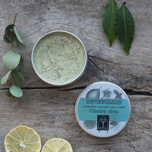 Vosk do aromalampy Chladivý citrus 60 g