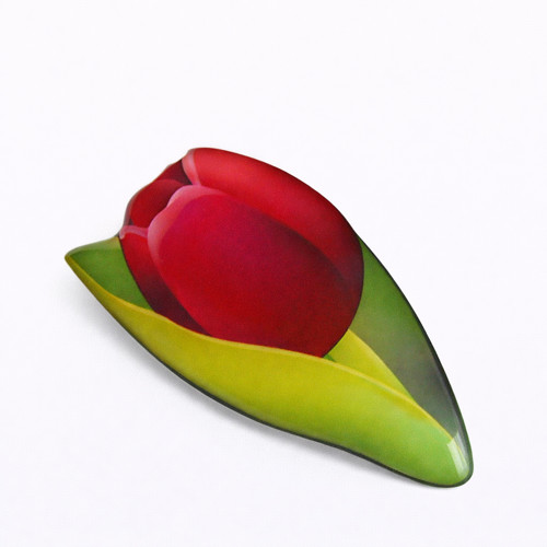 Tulipán