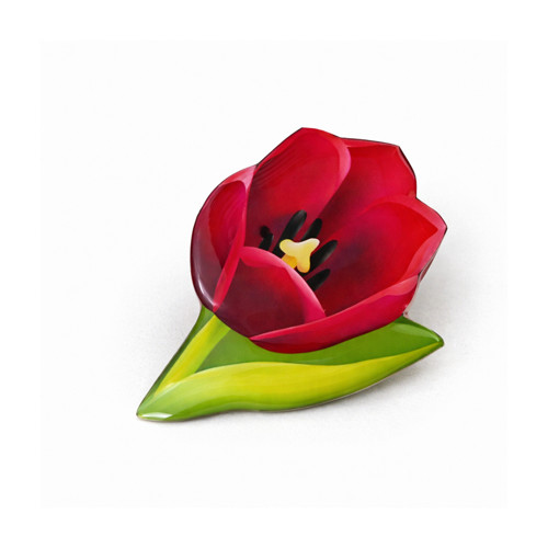 Tulipán — foto 1