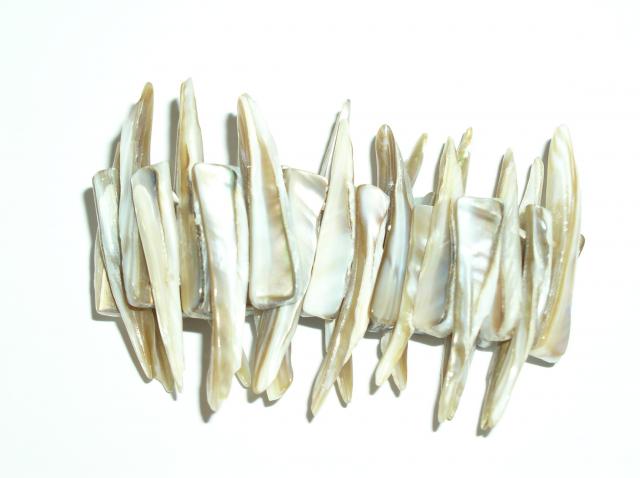 Perletí spoutaná — foto 2