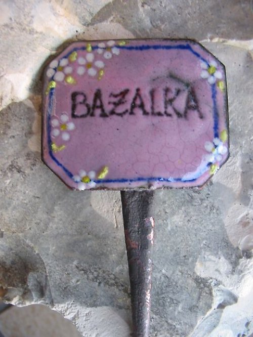 Popiska - Bazalka — foto 2