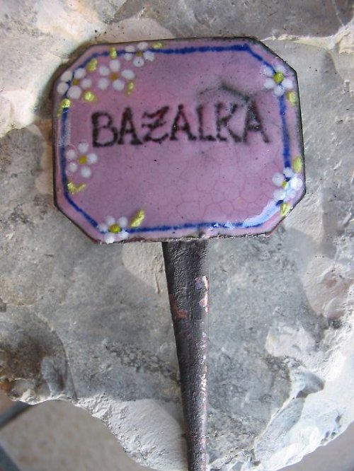 Popiska - Bazalka — foto 3