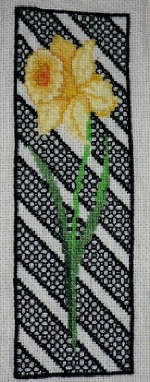Obrázek-narcis — foto 2