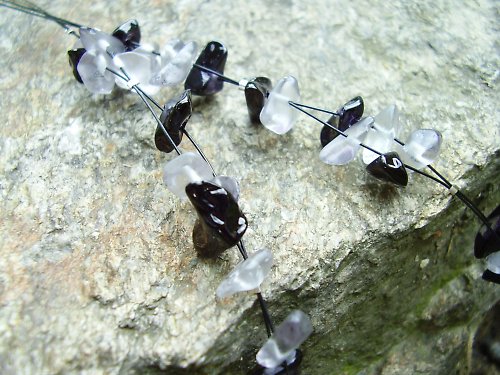 Černá orchidej — foto 2