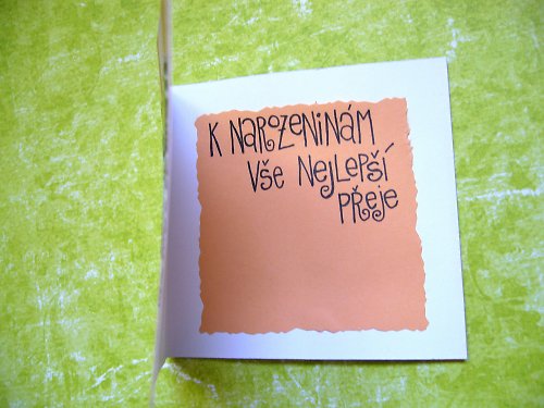 Narozeninové přáníčko VČELKA — foto 2