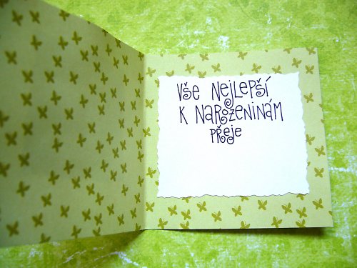 Narozeninové přáníčko KYTIČKA — foto 2