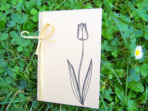 Přáníčko TULIPÁN — foto 2
