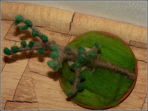 Bonsai — foto 3