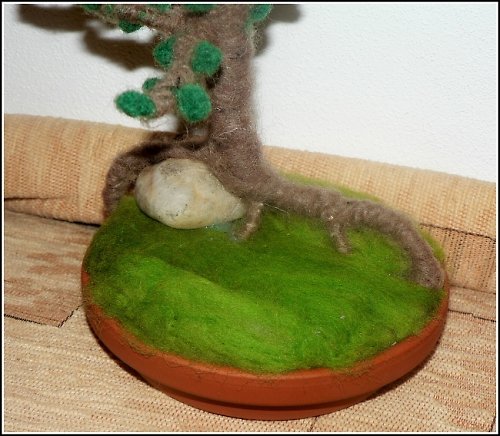 Bonsai — foto 4