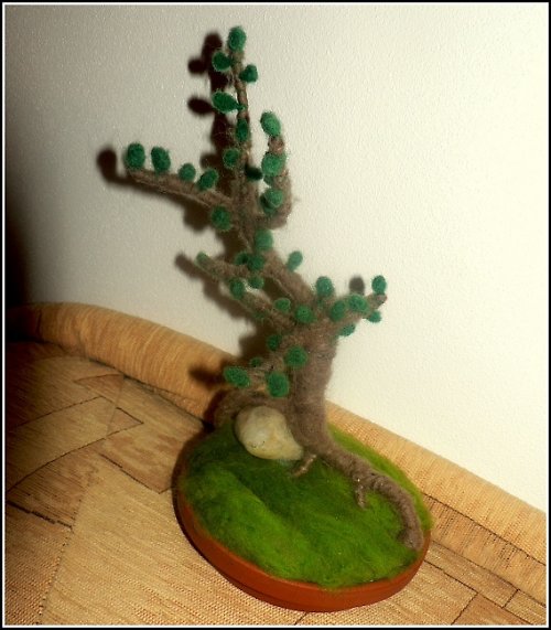 Bonsai — foto 5