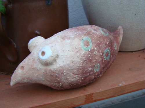 Pták špión — foto 2