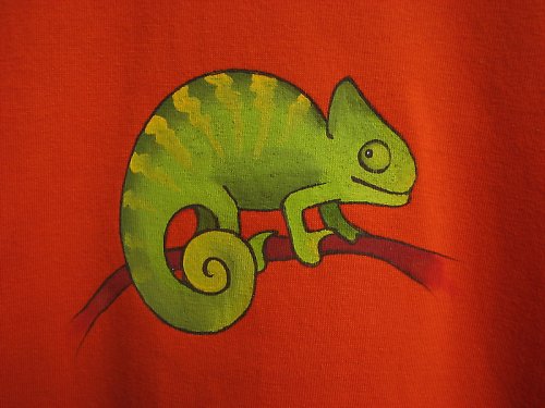 Detske triko - chameleon — foto 2