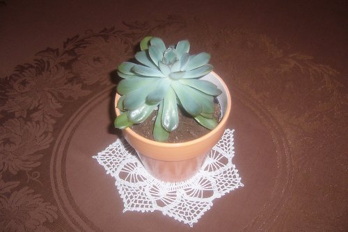 Háčkovaná dečka — foto 2